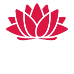 04_nsw-govt